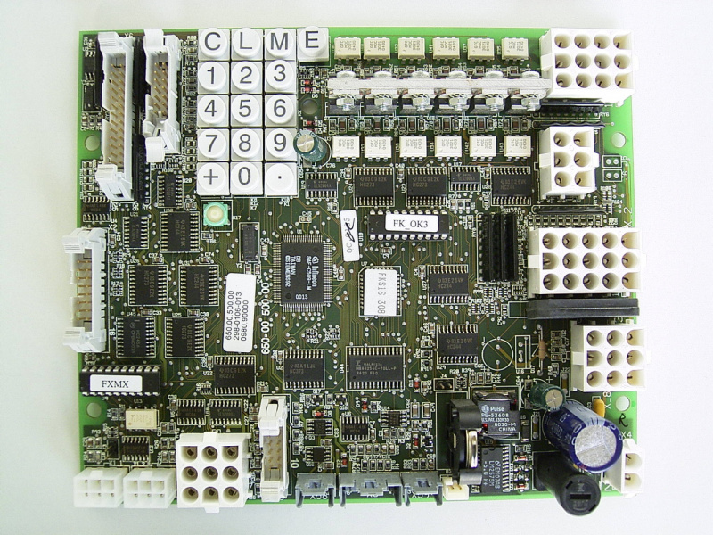 Datei:Auster FKS.jpg