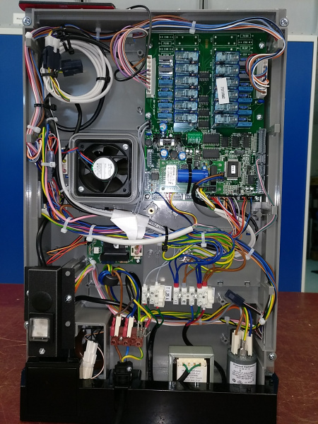 Datei:6NectaKoro Rückseiteoffen.jpg